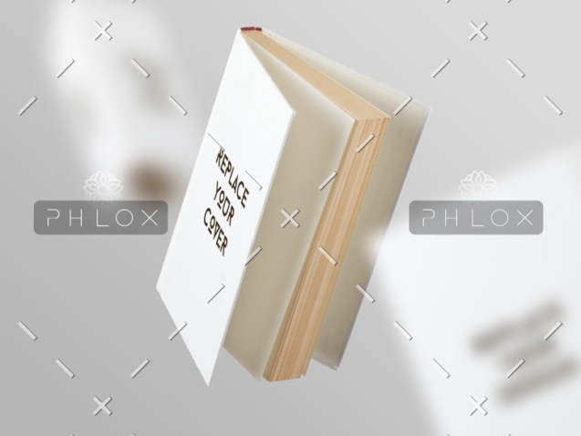 pic2-1